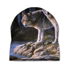 Шапка 3D с принтом Волки, картина маслом в Екатеринбурге, 100% полиэстер | универсальный размер, печать по всей поверхности изделия | аука | бирюк | волк | волчара | волчица | волчок | глаза | животное | животные | зверь | зеленые | койот | лес | млекопитающее | природа | санитар леса | серый | уши | фауна | хищник | черный | шакал