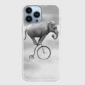 Чехол для iPhone 13 Pro Max с принтом Hipster Bike в Екатеринбурге,  |  | Тематика изображения на принте: elephant | hipster | индия | йога | слон | хипстер