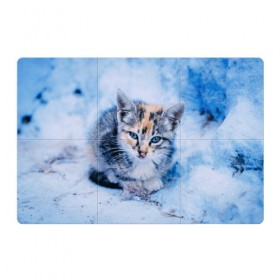 Магнитный плакат 3Х2 с принтом Трехцветный котенок зимой в Екатеринбурге, Полимерный материал с магнитным слоем | 6 деталей размером 9*9 см | грустный | добрый | животное | киса | киска кися | кот | котенок | котэ | кошка | красивый | лапа | лапка | ласковый | милый | моська | мурлыка | прикольный | смешной | унылый | усатый | шерсть
