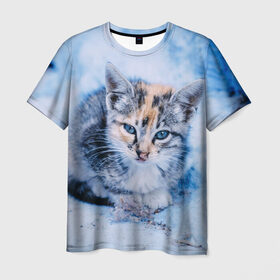 Мужская футболка 3D с принтом Трехцветный котенок зимой в Екатеринбурге, 100% полиэфир | прямой крой, круглый вырез горловины, длина до линии бедер | грустный | добрый | животное | киса | киска кися | кот | котенок | котэ | кошка | красивый | лапа | лапка | ласковый | милый | моська | мурлыка | прикольный | смешной | унылый | усатый | шерсть