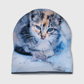 Шапка 3D с принтом Трехцветный котенок зимой в Екатеринбурге, 100% полиэстер | универсальный размер, печать по всей поверхности изделия | грустный | добрый | животное | киса | киска кися | кот | котенок | котэ | кошка | красивый | лапа | лапка | ласковый | милый | моська | мурлыка | прикольный | смешной | унылый | усатый | шерсть