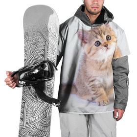 Накидка на куртку 3D с принтом Любопытный котенок в Екатеринбурге, 100% полиэстер |  | грустный | добрый | животное | киса | киска кися | кот | котенок | котэ | кошка | красивый | лапа | лапка | ласковый | милый | моська | мурлыка | прикольный | смешной | унылый | усатый | шерсть