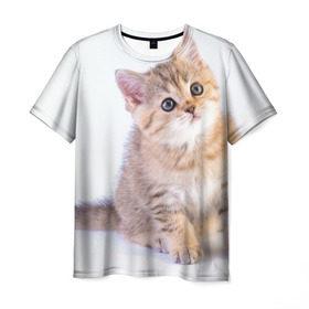 Мужская футболка 3D с принтом Любопытный котенок в Екатеринбурге, 100% полиэфир | прямой крой, круглый вырез горловины, длина до линии бедер | Тематика изображения на принте: грустный | добрый | животное | киса | киска кися | кот | котенок | котэ | кошка | красивый | лапа | лапка | ласковый | милый | моська | мурлыка | прикольный | смешной | унылый | усатый | шерсть