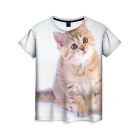 Женская футболка 3D с принтом Любопытный котенок в Екатеринбурге, 100% полиэфир ( синтетическое хлопкоподобное полотно) | прямой крой, круглый вырез горловины, длина до линии бедер | грустный | добрый | животное | киса | киска кися | кот | котенок | котэ | кошка | красивый | лапа | лапка | ласковый | милый | моська | мурлыка | прикольный | смешной | унылый | усатый | шерсть