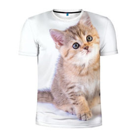 Мужская футболка 3D спортивная с принтом Любопытный котенок в Екатеринбурге, 100% полиэстер с улучшенными характеристиками | приталенный силуэт, круглая горловина, широкие плечи, сужается к линии бедра | Тематика изображения на принте: грустный | добрый | животное | киса | киска кися | кот | котенок | котэ | кошка | красивый | лапа | лапка | ласковый | милый | моська | мурлыка | прикольный | смешной | унылый | усатый | шерсть
