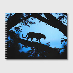 Альбом для рисования с принтом Чёрная пантера в Екатеринбурге, 100% бумага
 | матовая бумага, плотность 200 мг. | африка | вечер | дерево | дикая кошка | закат | леопард | сафари | ягуар