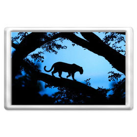 Магнит 45*70 с принтом Чёрная пантера в Екатеринбурге, Пластик | Размер: 78*52 мм; Размер печати: 70*45 | африка | вечер | дерево | дикая кошка | закат | леопард | сафари | ягуар