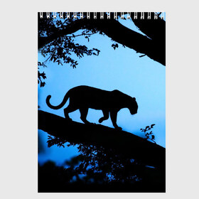 Скетчбук с принтом Чёрная пантера в Екатеринбурге, 100% бумага
 | 48 листов, плотность листов — 100 г/м2, плотность картонной обложки — 250 г/м2. Листы скреплены сверху удобной пружинной спиралью | африка | вечер | дерево | дикая кошка | закат | леопард | сафари | ягуар
