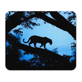 Коврик прямоугольный с принтом Чёрная пантера в Екатеринбурге, натуральный каучук | размер 230 х 185 мм; запечатка лицевой стороны | африка | вечер | дерево | дикая кошка | закат | леопард | сафари | ягуар