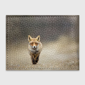 Обложка для студенческого билета с принтом Рыжий лис (fox) в Екатеринбурге, натуральная кожа | Размер: 11*8 см; Печать на всей внешней стороне | fox | животное | зверь | красивая | лес | лис | лиса | лисенок | лисица | лисичка | мех | патрикеевна | песец | плутовка | прикольная | природа | рыжая | рыжий цвет | сказка | хвост | хитрая | хищник