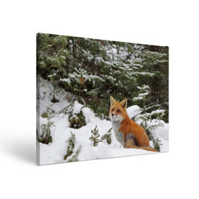Холст прямоугольный с принтом Лиса в зимнем лесу в Екатеринбурге, 100% ПВХ |  | Тематика изображения на принте: fox | животное | зверь | красивая | лес | лис | лиса | лисенок | лисица | лисичка | мех | патрикеевна | песец | плутовка | прикольная | природа | рыжая | рыжий цвет | сказка | хвост | хитрая | хищник