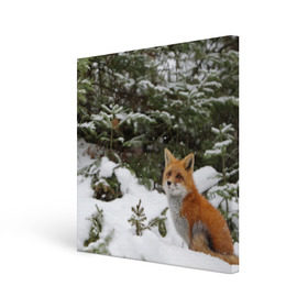 Холст квадратный с принтом Лиса в зимнем лесу в Екатеринбурге, 100% ПВХ |  | fox | животное | зверь | красивая | лес | лис | лиса | лисенок | лисица | лисичка | мех | патрикеевна | песец | плутовка | прикольная | природа | рыжая | рыжий цвет | сказка | хвост | хитрая | хищник