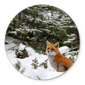 Коврик круглый с принтом Лиса в зимнем лесу в Екатеринбурге, резина и полиэстер | круглая форма, изображение наносится на всю лицевую часть | Тематика изображения на принте: fox | животное | зверь | красивая | лес | лис | лиса | лисенок | лисица | лисичка | мех | патрикеевна | песец | плутовка | прикольная | природа | рыжая | рыжий цвет | сказка | хвост | хитрая | хищник