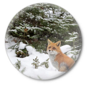 Значок с принтом Лиса в зимнем лесу в Екатеринбурге,  металл | круглая форма, металлическая застежка в виде булавки | Тематика изображения на принте: fox | животное | зверь | красивая | лес | лис | лиса | лисенок | лисица | лисичка | мех | патрикеевна | песец | плутовка | прикольная | природа | рыжая | рыжий цвет | сказка | хвост | хитрая | хищник