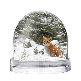 Снежный шар с принтом Лиса в зимнем лесу в Екатеринбурге, Пластик | Изображение внутри шара печатается на глянцевой фотобумаге с двух сторон | Тематика изображения на принте: fox | животное | зверь | красивая | лес | лис | лиса | лисенок | лисица | лисичка | мех | патрикеевна | песец | плутовка | прикольная | природа | рыжая | рыжий цвет | сказка | хвост | хитрая | хищник