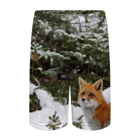 Детские спортивные шорты 3D с принтом Лиса в зимнем лесу в Екатеринбурге,  100% полиэстер
 | пояс оформлен широкой мягкой резинкой, ткань тянется
 | Тематика изображения на принте: fox | животное | зверь | красивая | лес | лис | лиса | лисенок | лисица | лисичка | мех | патрикеевна | песец | плутовка | прикольная | природа | рыжая | рыжий цвет | сказка | хвост | хитрая | хищник