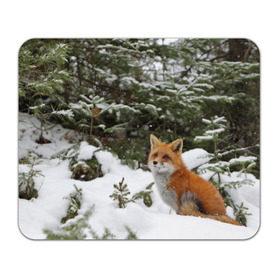 Коврик прямоугольный с принтом Лиса в зимнем лесу в Екатеринбурге, натуральный каучук | размер 230 х 185 мм; запечатка лицевой стороны | Тематика изображения на принте: fox | животное | зверь | красивая | лес | лис | лиса | лисенок | лисица | лисичка | мех | патрикеевна | песец | плутовка | прикольная | природа | рыжая | рыжий цвет | сказка | хвост | хитрая | хищник