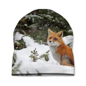 Шапка 3D с принтом Лиса в зимнем лесу в Екатеринбурге, 100% полиэстер | универсальный размер, печать по всей поверхности изделия | Тематика изображения на принте: fox | животное | зверь | красивая | лес | лис | лиса | лисенок | лисица | лисичка | мех | патрикеевна | песец | плутовка | прикольная | природа | рыжая | рыжий цвет | сказка | хвост | хитрая | хищник