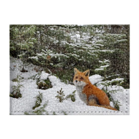 Обложка для студенческого билета с принтом Лиса в зимнем лесу в Екатеринбурге, натуральная кожа | Размер: 11*8 см; Печать на всей внешней стороне | Тематика изображения на принте: fox | животное | зверь | красивая | лес | лис | лиса | лисенок | лисица | лисичка | мех | патрикеевна | песец | плутовка | прикольная | природа | рыжая | рыжий цвет | сказка | хвост | хитрая | хищник