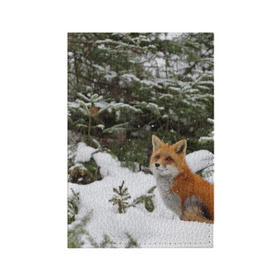 Обложка для паспорта матовая кожа с принтом Лиса в зимнем лесу в Екатеринбурге, натуральная матовая кожа | размер 19,3 х 13,7 см; прозрачные пластиковые крепления | Тематика изображения на принте: fox | животное | зверь | красивая | лес | лис | лиса | лисенок | лисица | лисичка | мех | патрикеевна | песец | плутовка | прикольная | природа | рыжая | рыжий цвет | сказка | хвост | хитрая | хищник