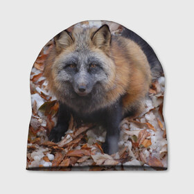 Шапка 3D с принтом Черный лис в Екатеринбурге, 100% полиэстер | универсальный размер, печать по всей поверхности изделия | fox | животное | зверь | красивая | лес | лис | лиса | лисенок | лисица | лисичка | мех | патрикеевна | песец | плутовка | прикольная | природа | рыжая | рыжий цвет | сказка | хвост | хитрая | хищник
