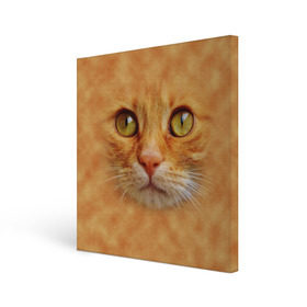 Холст квадратный с принтом Котик в Екатеринбурге, 100% ПВХ |  | Тематика изображения на принте: животные | кот | котенок | котик | кошка