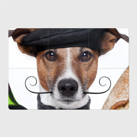 Магнитный плакат 3Х2 с принтом Джек рассел - мексиканец в Екатеринбурге, Полимерный материал с магнитным слоем | 6 деталей размером 9*9 см | Тематика изображения на принте: джек | любимец | пес | песик | питомец | рассел | собака | собаки | собачка | терьер