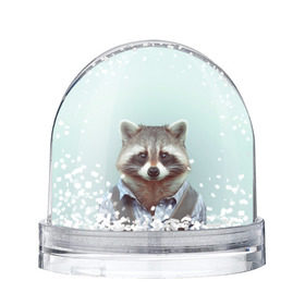 Снежный шар с принтом Хипстер Енот в Екатеринбурге, Пластик | Изображение внутри шара печатается на глянцевой фотобумаге с двух сторон | raccoon | енот