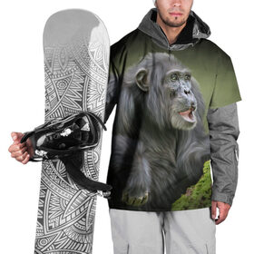 Накидка на куртку 3D с принтом Шимпанзе в Екатеринбурге, 100% полиэстер |  | Тематика изображения на принте: животные | обезьяна 