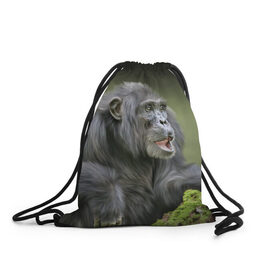 Рюкзак-мешок 3D с принтом Шимпанзе в Екатеринбурге, 100% полиэстер | плотность ткани — 200 г/м2, размер — 35 х 45 см; лямки — толстые шнурки, застежка на шнуровке, без карманов и подкладки | животные | обезьяна 