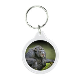 Брелок круглый с принтом Шимпанзе в Екатеринбурге, пластик и полированная сталь | круглая форма, металлическое крепление в виде кольца | животные | обезьяна 