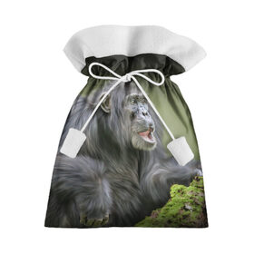 Подарочный 3D мешок с принтом Шимпанзе в Екатеринбурге, 100% полиэстер | Размер: 29*39 см | Тематика изображения на принте: животные | обезьяна 