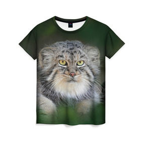 Женская футболка 3D с принтом Манул в Екатеринбурге, 100% полиэфир ( синтетическое хлопкоподобное полотно) | прямой крой, круглый вырез горловины, длина до линии бедер | всеядный | детеныш | дикие | животные | звери | зверята | кот | манул | медведь | хищник