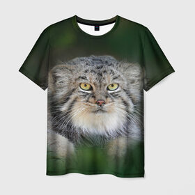 Мужская футболка 3D с принтом Манул в Екатеринбурге, 100% полиэфир | прямой крой, круглый вырез горловины, длина до линии бедер | Тематика изображения на принте: всеядный | детеныш | дикие | животные | звери | зверята | кот | манул | медведь | хищник