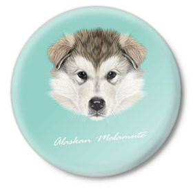 Значок с принтом Alaskan Malamute в Екатеринбурге,  металл | круглая форма, металлическая застежка в виде булавки | alaskan malamute | dog | puppy | маламут | собака | хаски | щенок