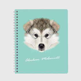 Тетрадь с принтом Alaskan Malamute в Екатеринбурге, 100% бумага | 48 листов, плотность листов — 60 г/м2, плотность картонной обложки — 250 г/м2. Листы скреплены сбоку удобной пружинной спиралью. Уголки страниц и обложки скругленные. Цвет линий — светло-серый
 | alaskan malamute | dog | puppy | маламут | собака | хаски | щенок