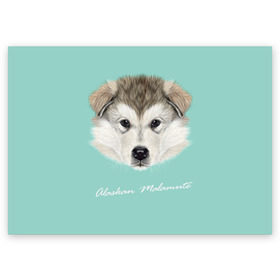 Поздравительная открытка с принтом Alaskan Malamute в Екатеринбурге, 100% бумага | плотность бумаги 280 г/м2, матовая, на обратной стороне линовка и место для марки
 | alaskan malamute | dog | puppy | маламут | собака | хаски | щенок