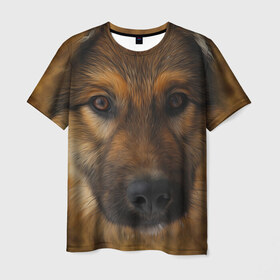 Мужская футболка 3D с принтом Собака в Екатеринбурге, 100% полиэфир | прямой крой, круглый вырез горловины, длина до линии бедер | глаза | голова | животные | нос | пес | природа | собака