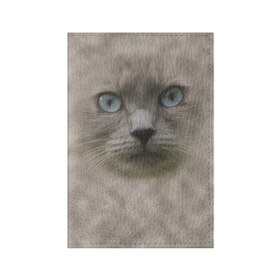 Обложка для паспорта матовая кожа с принтом Кошка в Екатеринбурге, натуральная матовая кожа | размер 19,3 х 13,7 см; прозрачные пластиковые крепления | глаза | животные | кот | котенок | кошка | мордочка | нос | усы