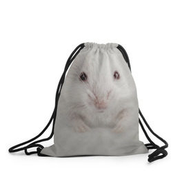 Рюкзак-мешок 3D с принтом Крыса в Екатеринбурге, 100% полиэстер | плотность ткани — 200 г/м2, размер — 35 х 45 см; лямки — толстые шнурки, застежка на шнуровке, без карманов и подкладки | животные | крыса | мордочка | мышка | мышь | природа