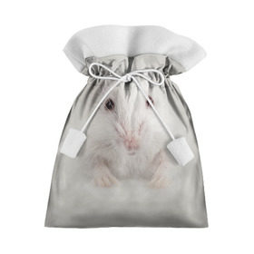 Подарочный 3D мешок с принтом Крыса в Екатеринбурге, 100% полиэстер | Размер: 29*39 см | животные | крыса | мордочка | мышка | мышь | природа