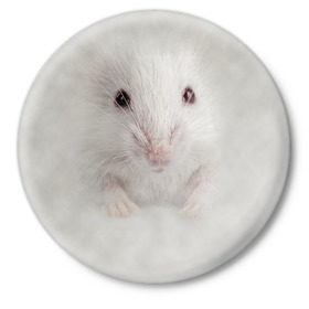 Значок с принтом Крыса в Екатеринбурге,  металл | круглая форма, металлическая застежка в виде булавки | Тематика изображения на принте: животные | крыса | мордочка | мышка | мышь | природа