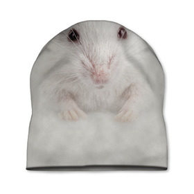 Шапка 3D с принтом Крыса в Екатеринбурге, 100% полиэстер | универсальный размер, печать по всей поверхности изделия | животные | крыса | мордочка | мышка | мышь | природа