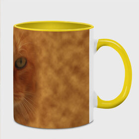 Кружка 3D с принтом Рыжий котик в Екатеринбурге, керамика | ёмкость 330 мл | Тематика изображения на принте: животные | кот | котенок | котик | кошка | мордочка | рыжий