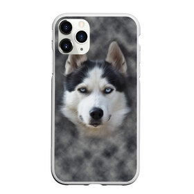 Чехол для iPhone 11 Pro матовый с принтом Хаска в Екатеринбурге, Силикон |  | мордочка | пес | собака | хаска | щенок