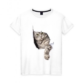 Женская футболка хлопок с принтом Кот прорвался в Екатеринбурге, 100% хлопок | прямой крой, круглый вырез горловины, длина до линии бедер, слегка спущенное плечо | животные | коты | лапа | прорвался