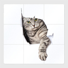 Магнитный плакат 3Х3 с принтом Кот прорвался в Екатеринбурге, Полимерный материал с магнитным слоем | 9 деталей размером 9*9 см | животные | коты | лапа | прорвался