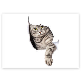 Поздравительная открытка с принтом Кот прорвался в Екатеринбурге, 100% бумага | плотность бумаги 280 г/м2, матовая, на обратной стороне линовка и место для марки
 | животные | коты | лапа | прорвался