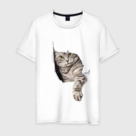 Мужская футболка хлопок с принтом Кот прорвался в Екатеринбурге, 100% хлопок | прямой крой, круглый вырез горловины, длина до линии бедер, слегка спущенное плечо. | животные | коты | лапа | прорвался