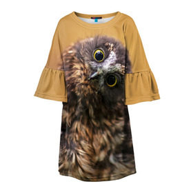 Детское платье 3D с принтом Совёнок в Екатеринбурге, 100% полиэстер | прямой силуэт, чуть расширенный к низу. Круглая горловина, на рукавах — воланы | взгляд | глаза | клюв | пернатые | перья | прикол | птица | сова | юмор